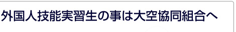 外国人技能実習生の事は大空協同組合へ