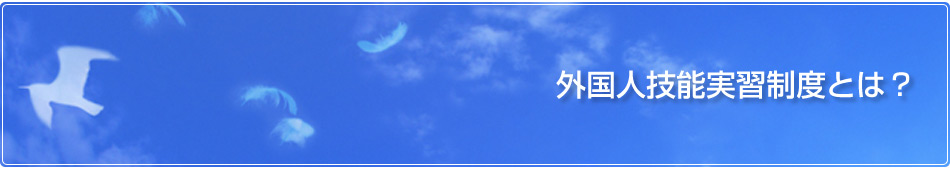 外国人技能実習制度とは？